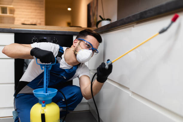 Best Emergency Pest Control  in Wyoming, MN