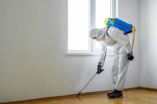 Best Pest Prevention Services  in Wyoming, MN