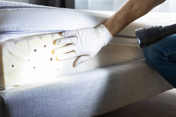Reliable Wyoming, MN Pest Control Solutions